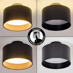 Plafonnier Baraboo LED Noir, 1 lumière