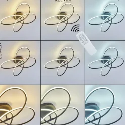 Plafonnier Belgorod LED Noir, Blanc, 1 lumière, Télécommandes