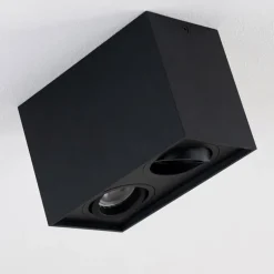 Plafonnier Betsie Noir, 2 lumières