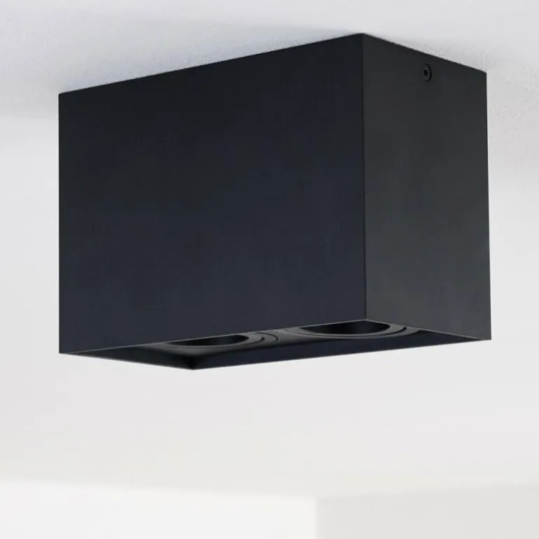 Plafonnier Betsie Noir, 2 lumières