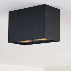 Plafonnier Betsie Noir, 2 lumières