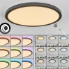 Plafonnier Boyero LED Noir, 2 lumières, Télécommandes, Changeur de couleurs