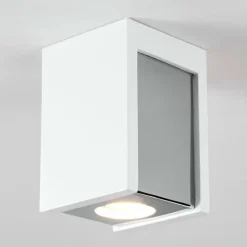 Plafonnier Braslo Chrome, Blanc, 1 lumière