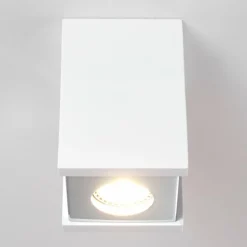 Plafonnier Braslo Chrome, Blanc, 1 lumière