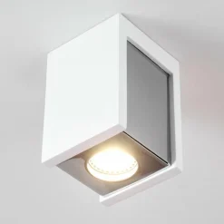 Plafonnier Braslo Chrome, Blanc, 1 lumière