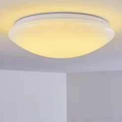 Plafonnier Brighton LED Blanc, 1 lumière, Télécommandes, Changeur de couleurs