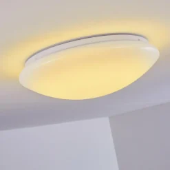 Plafonnier Brighton LED Blanc, 1 lumière, Télécommandes, Changeur de couleurs