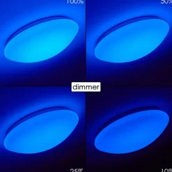 Plafonnier Brighton LED Blanc, 1 lumière, Télécommandes, Changeur de couleurs