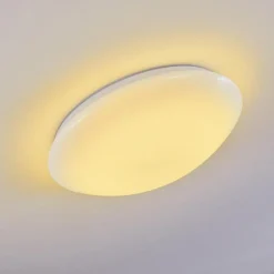 Plafonnier Brighton LED Blanc, 1 lumière, Télécommandes, Changeur de couleurs