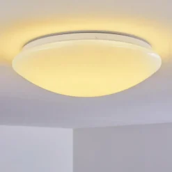 Plafonnier Brighton LED Blanc, 1 lumière, Télécommandes, Changeur de couleurs