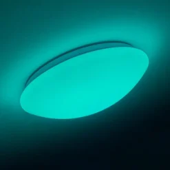 Plafonnier Brighton LED Blanc, 1 lumière, Télécommandes, Changeur de couleurs