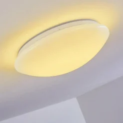 Plafonnier Brighton LED Blanc, 1 lumière, Télécommandes, Changeur de couleurs