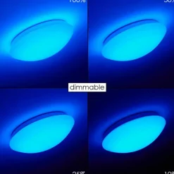 Plafonnier Brighton LED Blanc, 1 lumière, Télécommandes, Changeur de couleurs