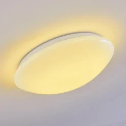 Plafonnier Brighton LED Blanc, 1 lumière, Télécommandes, Changeur de couleurs