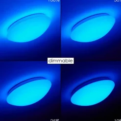 Plafonnier Brighton LED Blanc, 1 lumière, Télécommandes, Changeur de couleurs