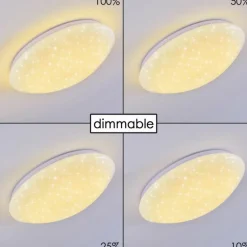 Plafonnier Brighton Star LED Blanc, 1 lumière, Télécommandes, Changeur de couleurs