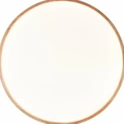 Plafonnier Brilliant Alson LED Brun, Blanc, 1 lumière, Télécommandes