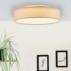 Plafonnier Brilliant Baska LED Argenté, 1 lumière