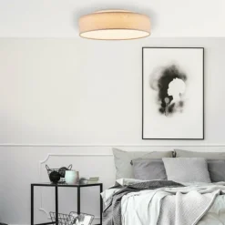 Plafonnier Brilliant Baska LED Argenté, 1 lumière