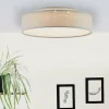 Plafonnier Brilliant Baska LED Blanc, 1 lumière