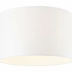 Plafonnier Brilliant Esher Argenté, 1 lumière