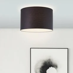 Plafonnier Brilliant Esher Argenté, 1 lumière