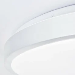 Plafonnier Brilliant Livius LED Argenté, 1 lumière, Télécommandes