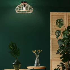 Plafonnier Brilliant Norah Noir, 1 lumière