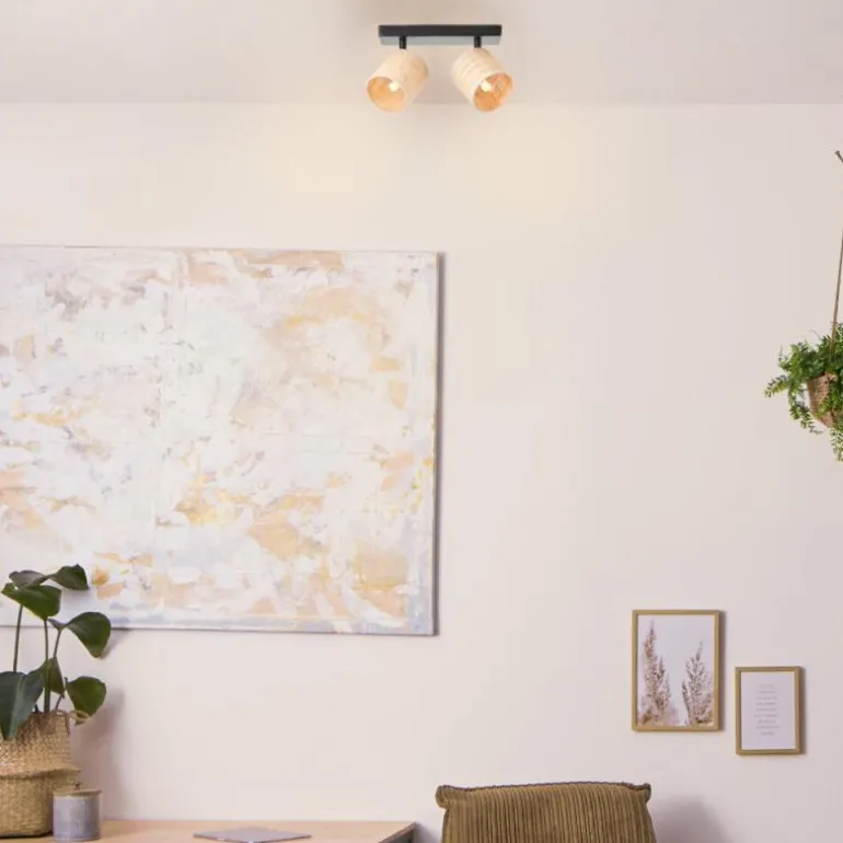 Plafonnier Brilliant Raffy Noir, 2 lumières