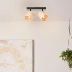 Plafonnier Brilliant Raffy Noir, 2 lumières