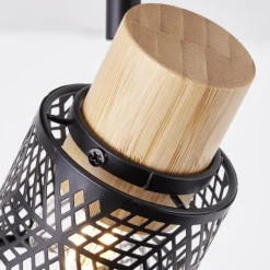 Plafonnier Brilliant Santy Noir, 2 lumières