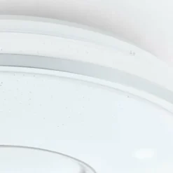 Plafonnier Brilliant Visitation LED Argenté, 1 lumière, Télécommandes, Changeur de couleurs