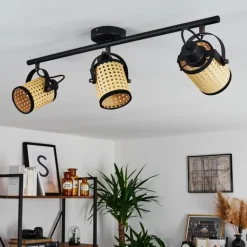 Plafonnier Broekerhaven Noir, 3 lumières