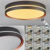 Plafonnier Cachalot LED Cuivre, Noir, 1 lumière, Télécommandes, Changeur de couleurs