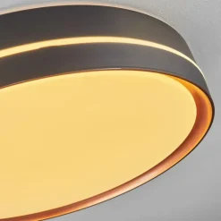 Plafonnier Cachalot LED Cuivre, Noir, 1 lumière, Télécommandes, Changeur de couleurs