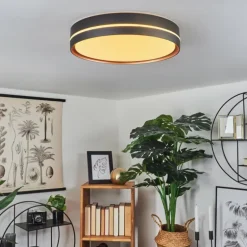 Plafonnier Cachalot LED Cuivre, Noir, 1 lumière, Télécommandes, Changeur de couleurs