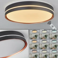 Plafonnier Cachalot LED Cuivre, Noir, 1 lumière, Télécommandes, Changeur de couleurs