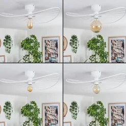 Plafonnier Cacor Blanc, 1 lumière