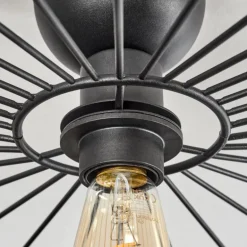 Plafonnier Cacor Noir, 1 lumière