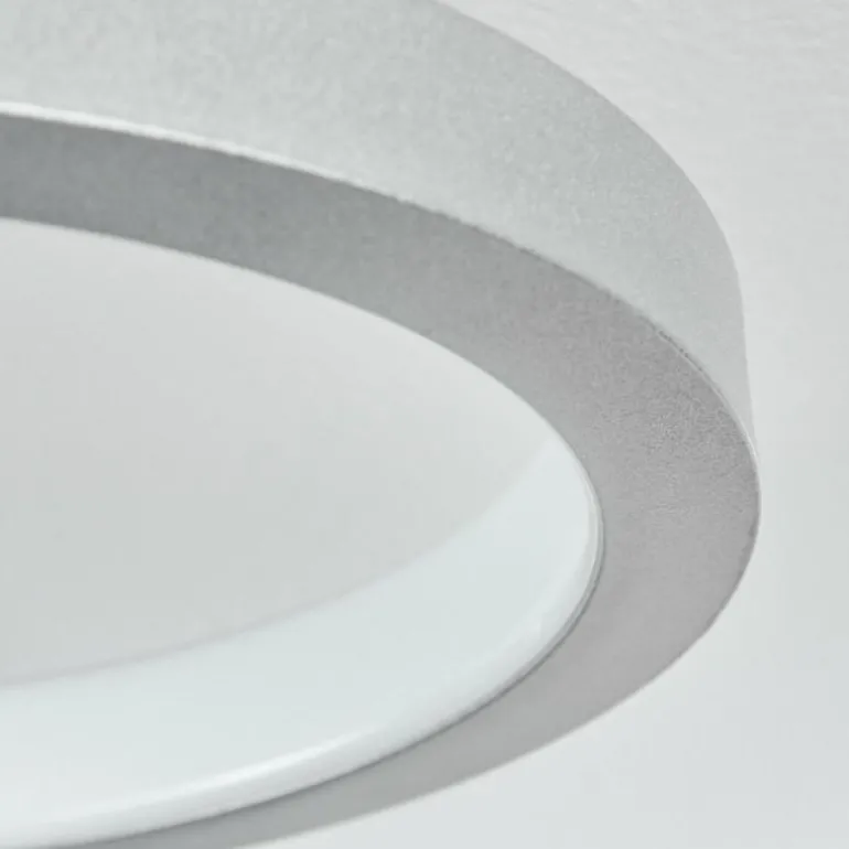 Plafonnier Carabajal LED Titane, 1 lumière