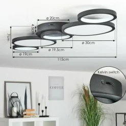 Plafonnier Carabajal LED Noir, 1 lumière