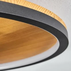 Plafonnier Cardozo LED Écru, Noir, 1 lumière