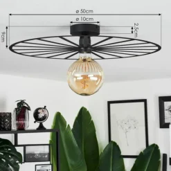 Plafonnier Carqueja Noir, 1 lumière