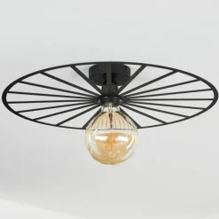 Plafonnier Carqueja Noir, 1 lumière