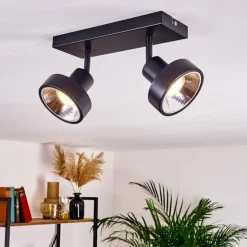 Plafonnier Chagres Noir, Argenté, 2 lumières