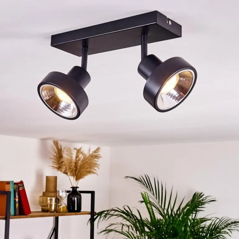 Plafonnier Chagres Noir, Argenté, 2 lumières