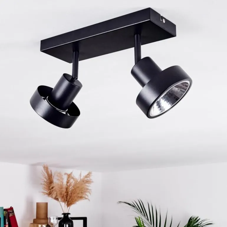 Plafonnier Chagres Noir, Argenté, 2 lumières