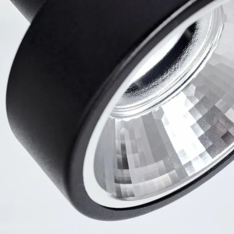 Plafonnier Chagres Noir, Argenté, 2 lumières