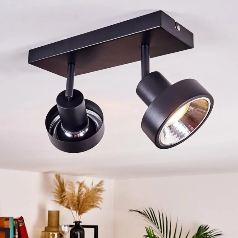 Plafonnier Chagres Noir, Argenté, 2 lumières