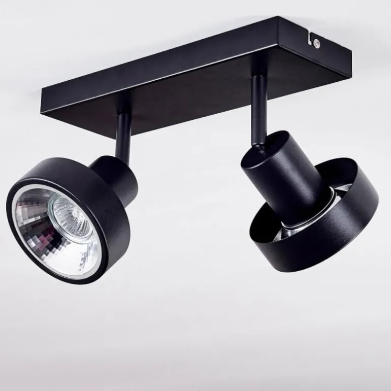 Plafonnier Chagres Noir, Argenté, 2 lumières